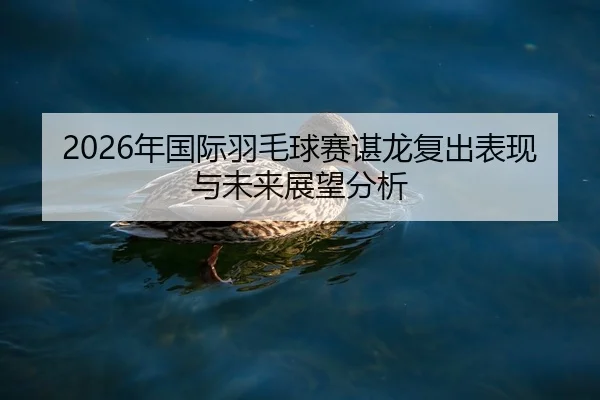 nian-guo-ji-yu-mao-qiu-sai-chen-long-fu-chu-biao-xian-yu-wei-lai-zhan-wang-fen-xi-1-544.jpg